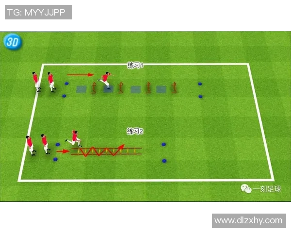 足球明星的高效训练方法揭秘提升技术与体能的关键技巧